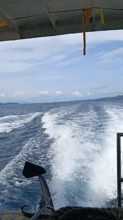 Thanks Siargao