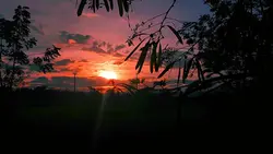 Mẫu 2 video hoàng