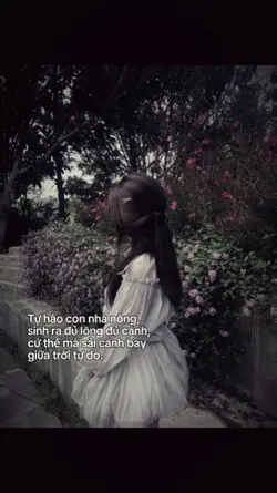 1 ảnh caption