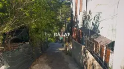 Du lịch healing 2025