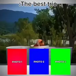 TREND VIDEO