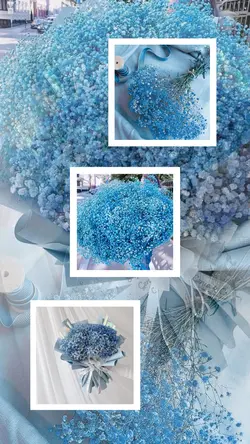3 photo 
