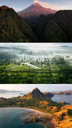 Aesthetic