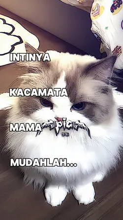 mama mudalahh