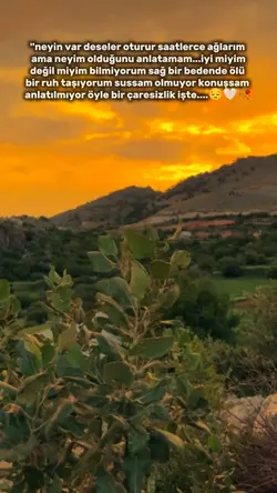 duygusal şablon 