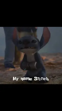 Timeless × Stitch