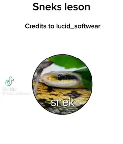 Snek lesson