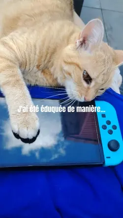 respecte les...