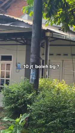3 KLIP TREND