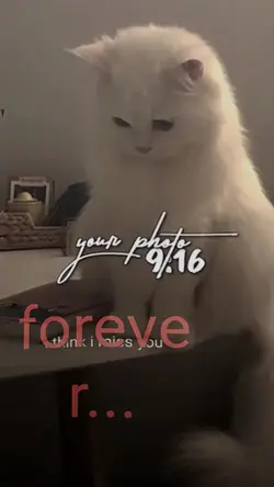 Miss You Forever 