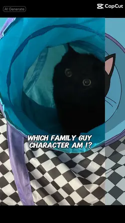 Family cat 