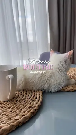MORNING ROUTINE