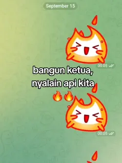 Streak Tiktok 