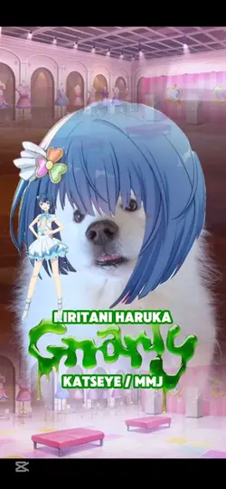 GNARLY HARUKA MMJ