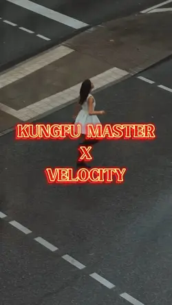 kung fu master
