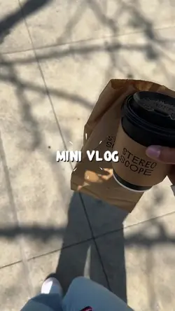 Mini Vlog