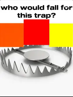 fade in template