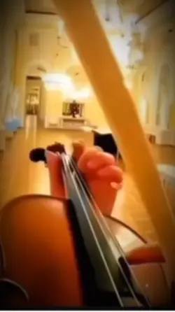 바이올린🎻