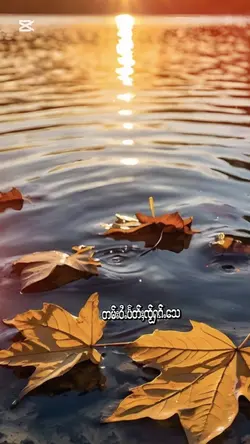 သႂ်ႇၶႅပ်းႁၢင်ႈသူ1