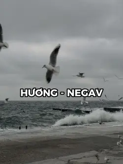 Hương - Negav