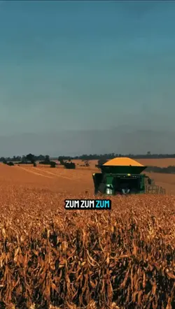 Zum Zum Zum 