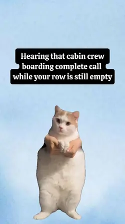 Hearing that cabin 