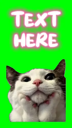 Cute looking Cat