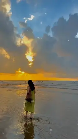 mẫu HQ 