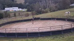 me cantering todayy