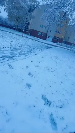 Santa Claus