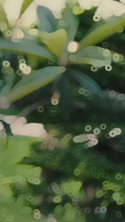 slowmo 