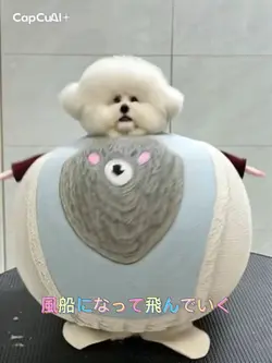 風船になって飛んでいく