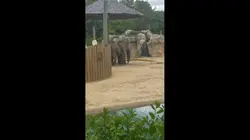 Montgomery Zoo