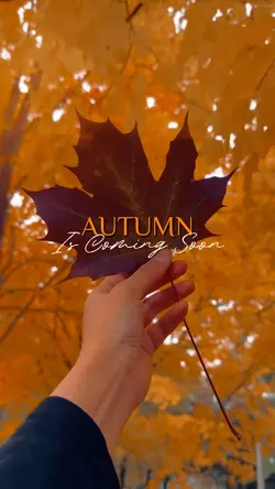 Autumn Is Coming