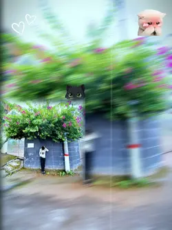 1 photo template |