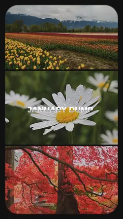 JANUARY DUMP