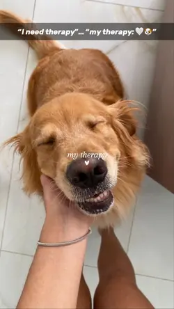 my therapy 🤍