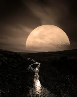 luna no te vayas