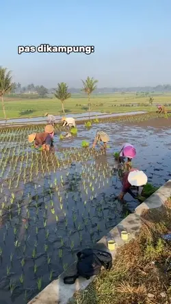 kota vs kampung