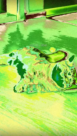 MATCHA EFFECT