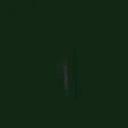 2 foto phonk