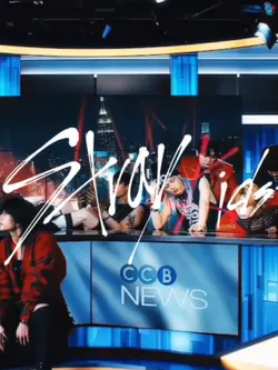 Edit stray kids