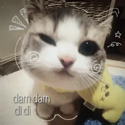 cute edit