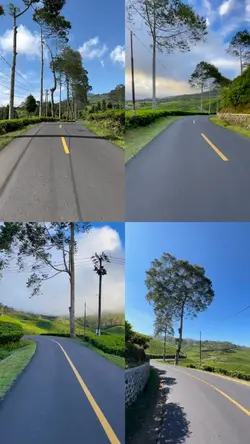 4 video kolase
