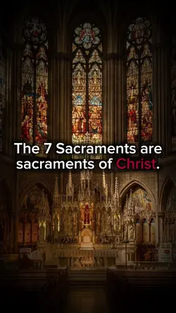 The Sacramentss >>