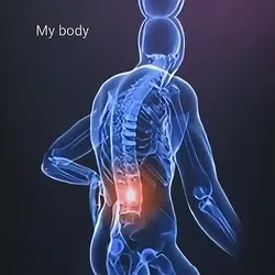 My body my work