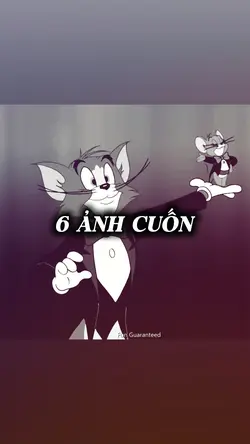 6 ảnh