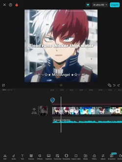 Editing process 
