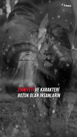 SES ŞABLON CAPPU.