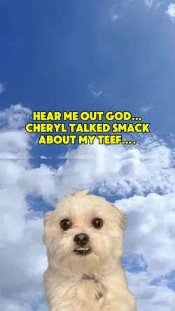 Dog in heaven 